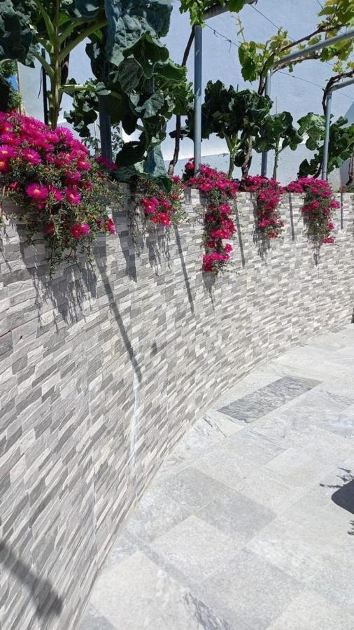 فيلا Casa Dos Avos Alcaria da Serra المظهر الخارجي الصورة